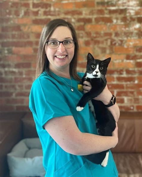 village vet|The Village Vet – Los Angeles, CA .